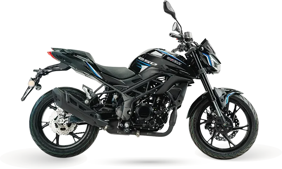 Shineray 250F: foto 2