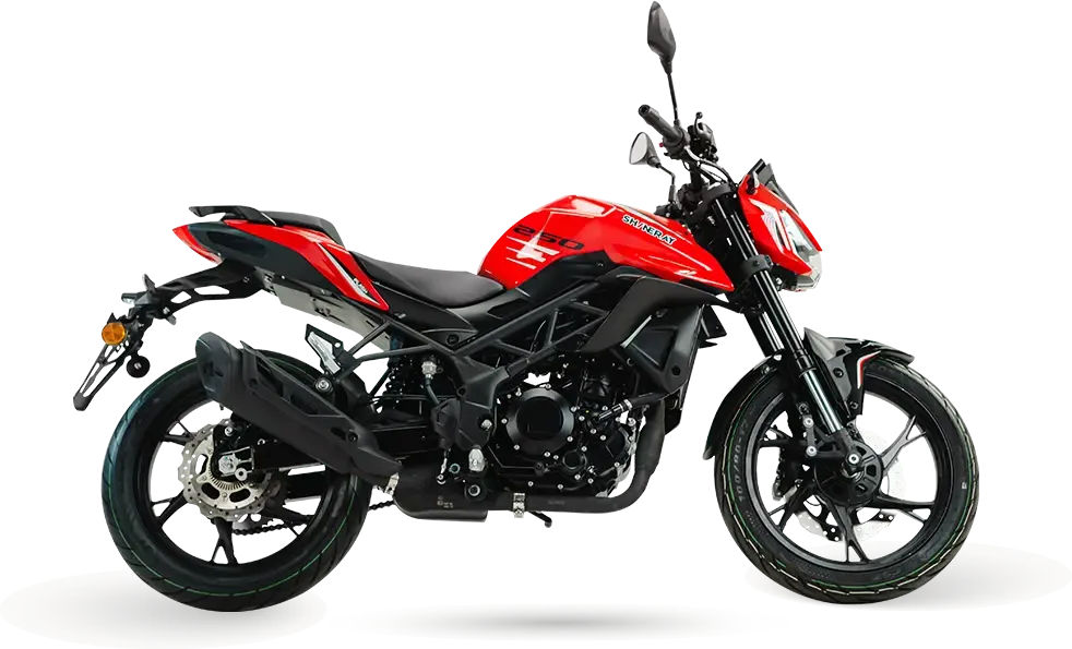 Shineray 250F: foto 3