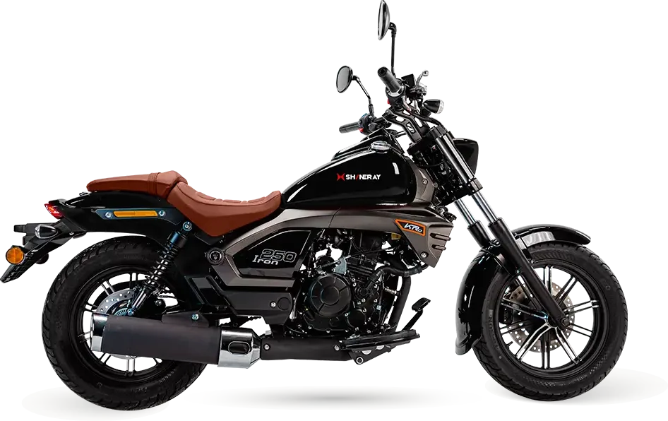 Shineray Iron 250: foto 2