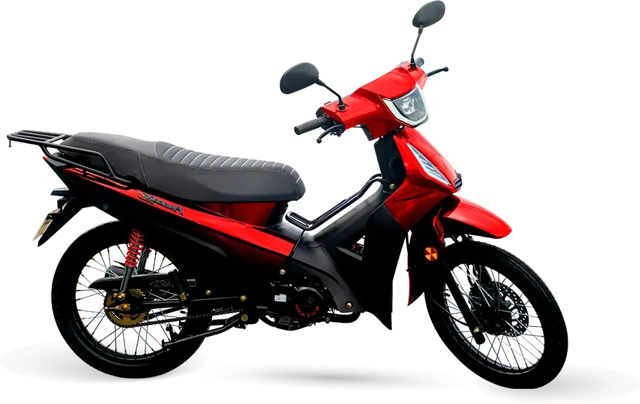 Shineray Phoenix S: foto 2