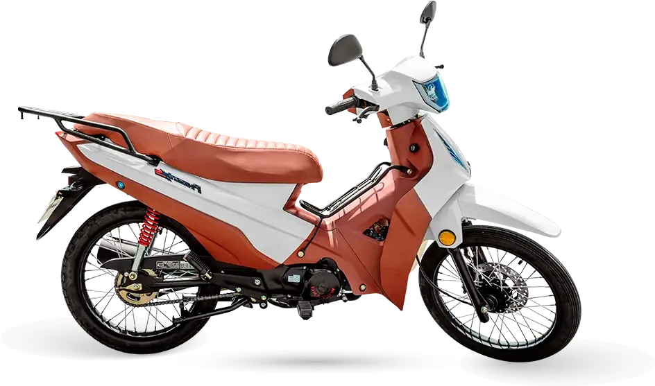 Shineray Phoenix S: foto 3